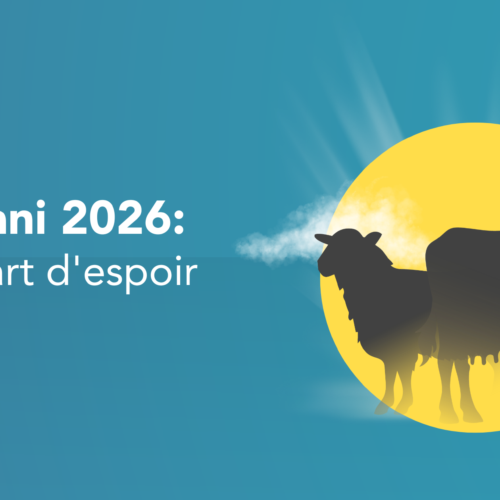 Qurbani 2026 : votre guide complet pour accomplir le Qurbani lors de l’Aïd al-Adha